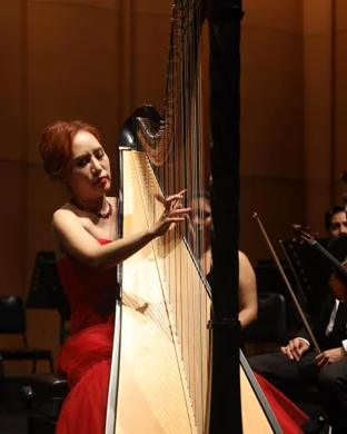 Outlander In Concert